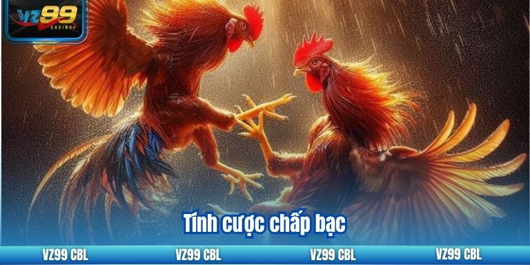 Khám Phá Tỷ Lệ Cược Đá Gà Uy Tín Nhất Tại VZ99 Tính cược chấp bạc